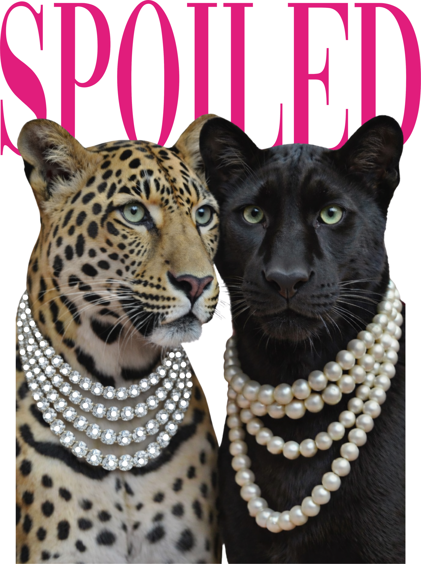 Spoiled Double Leopard Graphic Tee DTG
