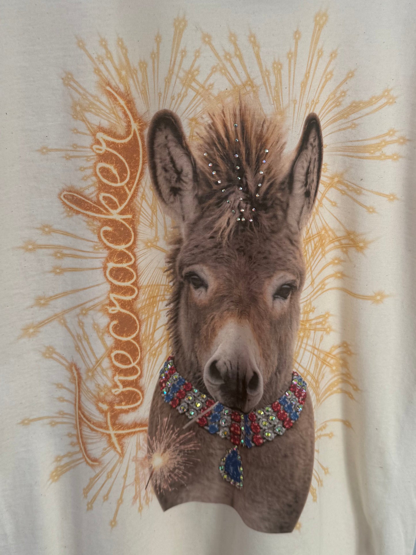 Firecracker Donkey White Graphic Tee